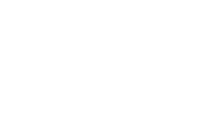 North Bridge House